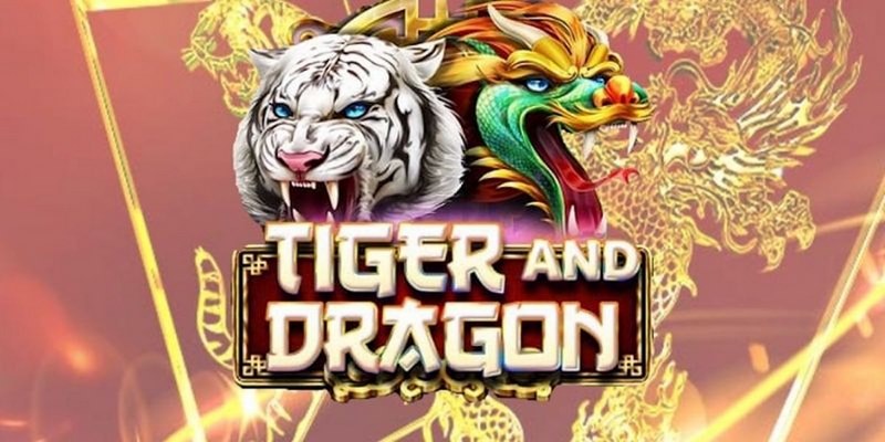 Lưu ý khi chơi Rồng Hổ trực tuyến tại ZBET